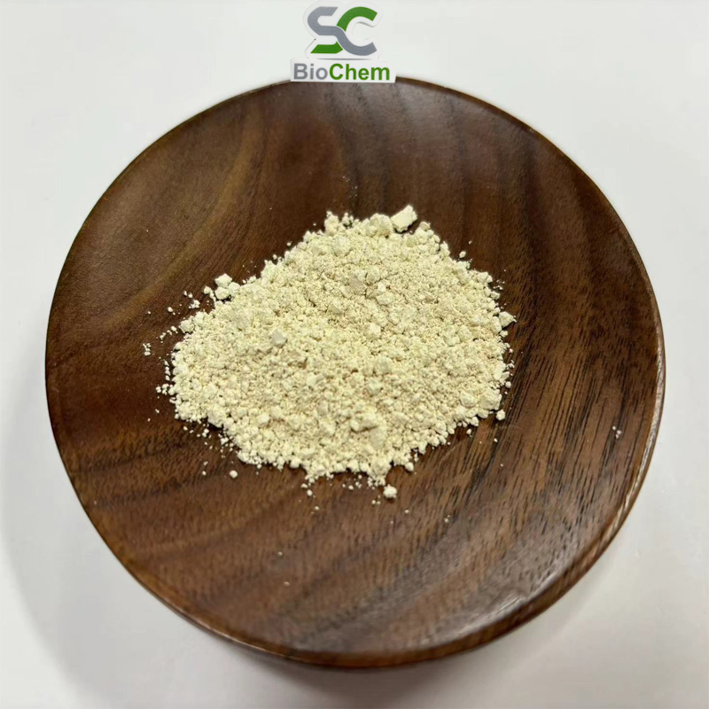 Pó de Extrato de Ginseng Panax Extrato de Folha e Raiz de Ginseng 4%~80% Ginsenosídeo