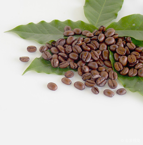 Biotecnologia do Bem-Estar Mundial 15%-50% Ácidos Clorogênicos Extrato de Grão de Café Verde