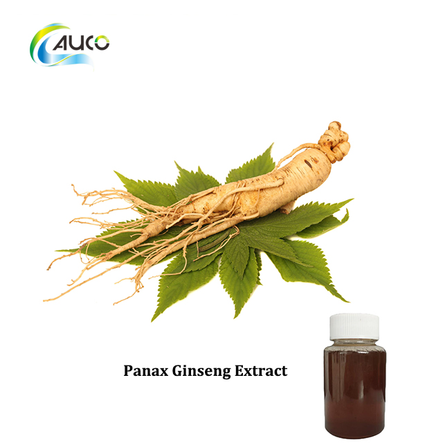 Extrato de Ginseng Panax de Alta Qualidade para Melhoria da Saúde e Bem-Estar