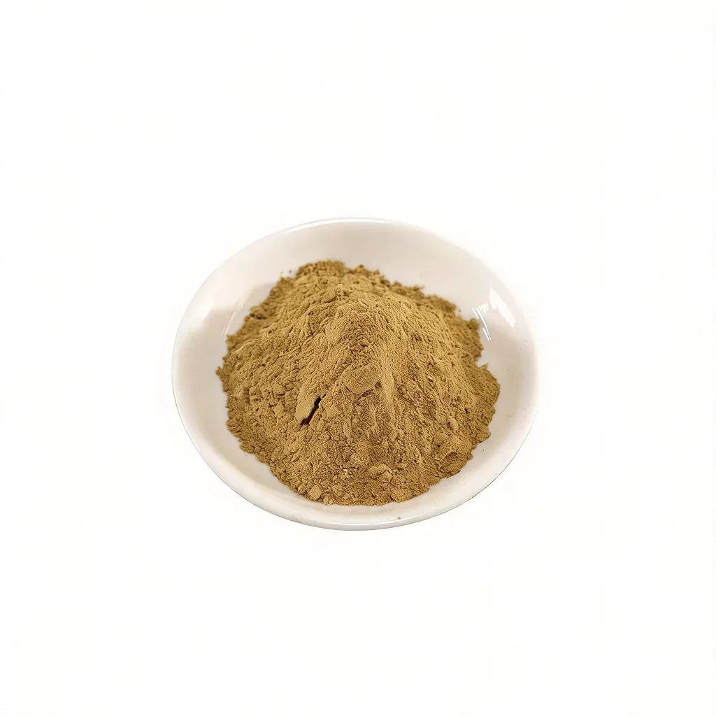 Extrato de Panax Ginseng de Grau Alimentício 10: 1 Pó Concentrado para Suplemento Dietético
