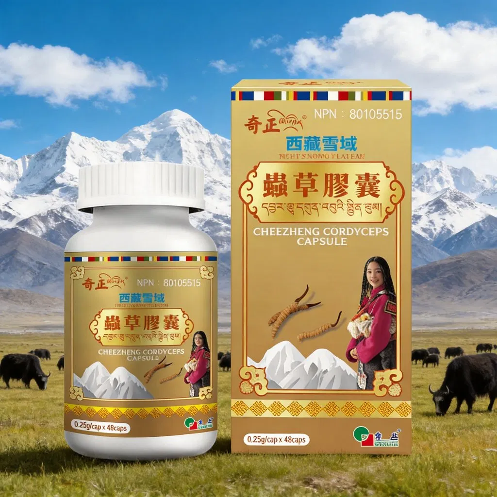 Cápsula de Extrato de Cogumelo Cordyceps Premium Suplemento de Saúde para Aumento da Imunidade