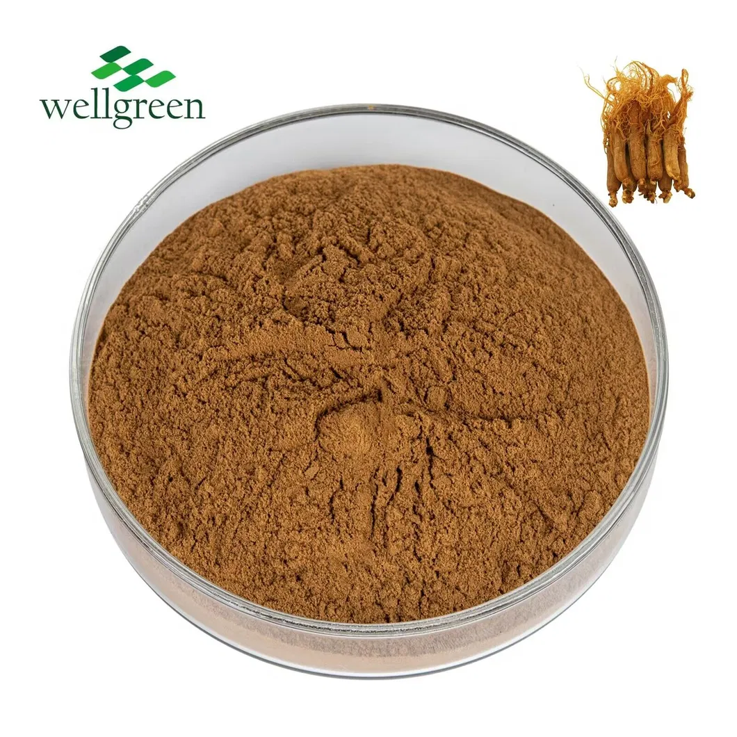 Fornecimento de Fábrica Pó de Extrato de Raiz de Ginseng Vermelho 5%~80% Ginsenosídeos Extrato de Ginseng Panax