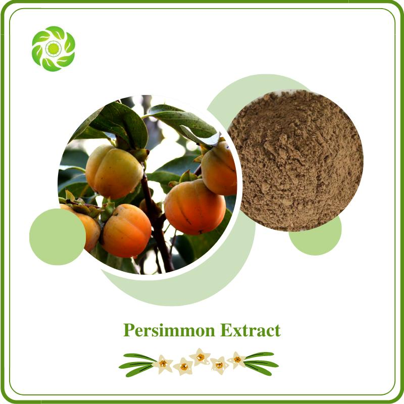 Fabricante OEM Certificado ISO&FDA da World Well Being Biotech Fornecimento de Fábrica Extrato Botânico Natural 95% Tannins15% 20% Flavonoides Extrato de Caqui