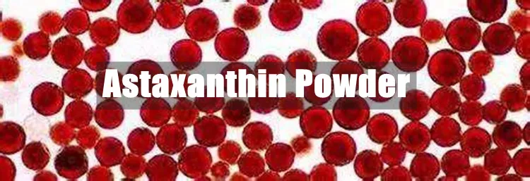 Fornecimento de Fábrica de Astaxantina em Lote Extrato de Haematococcus Pluvialis 1% 2% 3% 4% 5% Pó de Astaxantina Pura