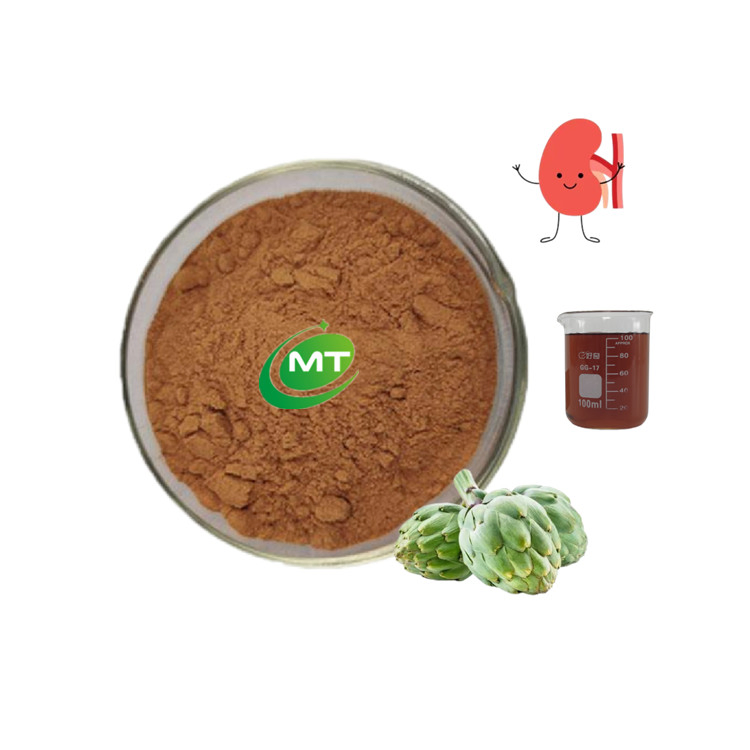 Amostra Grátis Extrato Herbal Natural 10: 1 Extrato de Folha de Alcachofra
