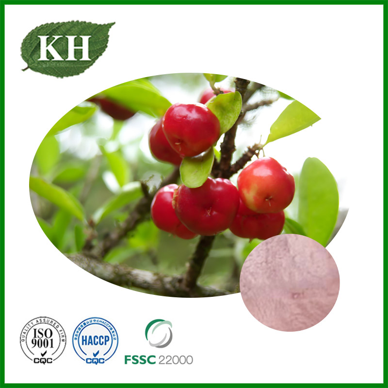 Extrato de Cereja Acerola Antioxidante 17%, 25% Vitamina C