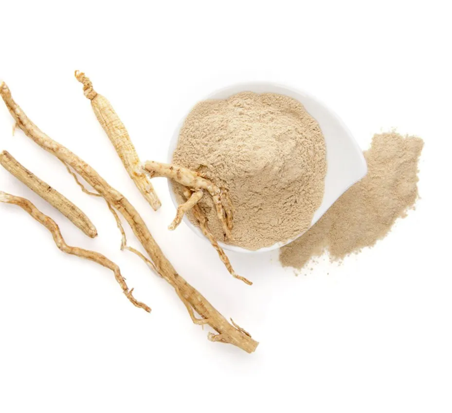 Extrato de Raiz de Ginseng Panax Orgânico Premium