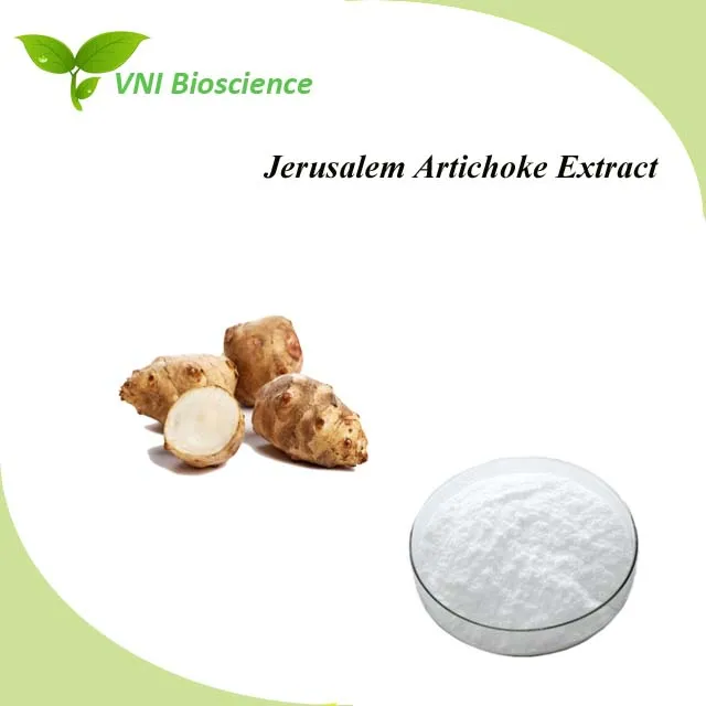 Certificado Kosher Halal Inulina Natural Extrato de Alcachofra de Jerusalém