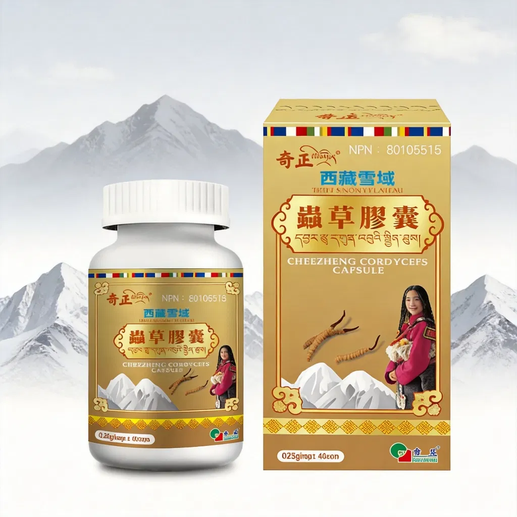 Cápsula de Extrato de Cogumelo Cordyceps Premium Suplemento de Saúde para Aumento da Imunidade