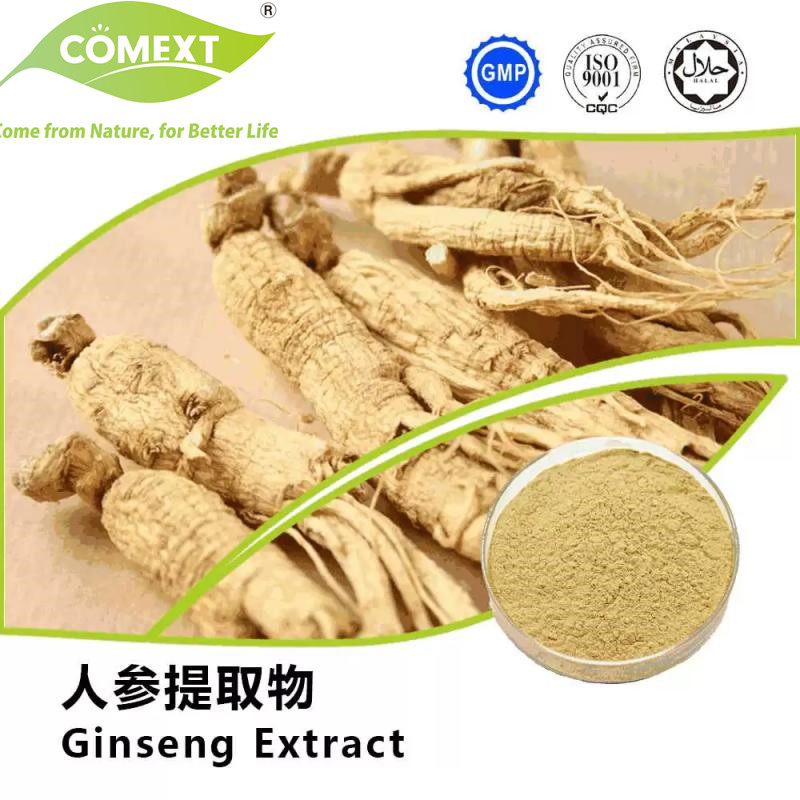 Fornecimento de Fábrica Comext Extrato de Ginseng Panax 80% Ginsenosídeos com Alta Qualidade