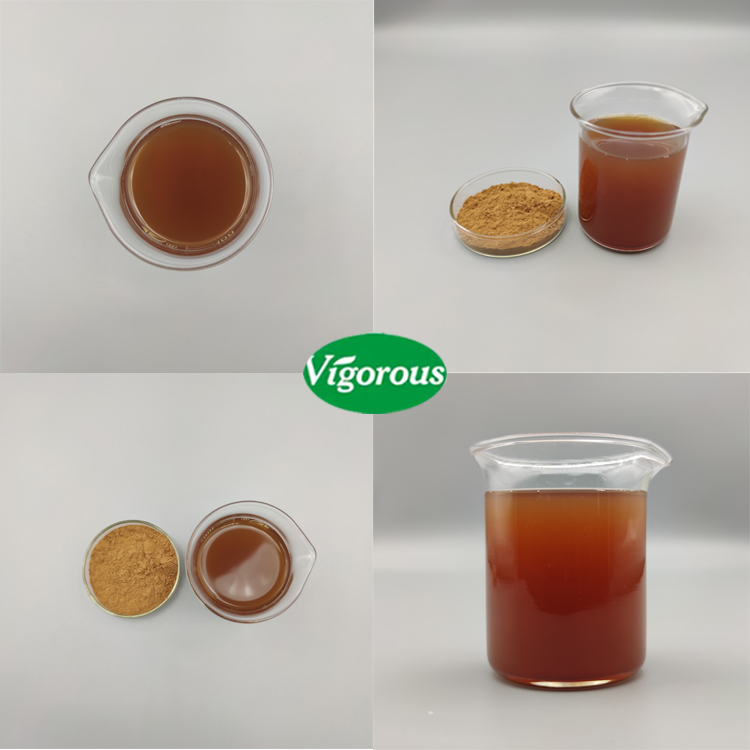 Extrato Orgânico de Alcachofra em Pó Cynara Scolymus L por Atacado