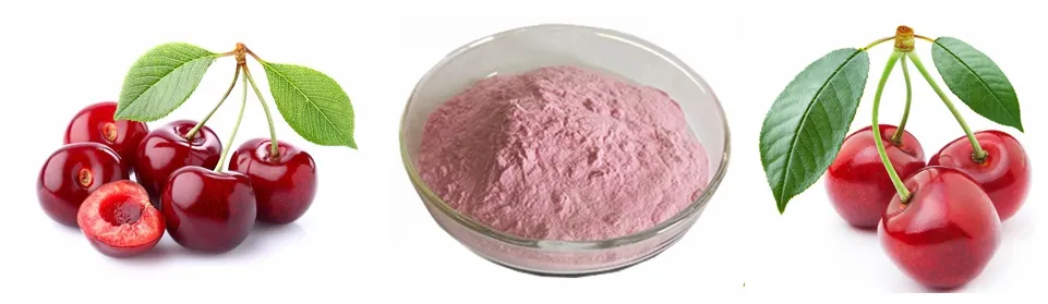 Extrato de Planta de Vitamina t 17%Vc Extrato de Cereja Acerola