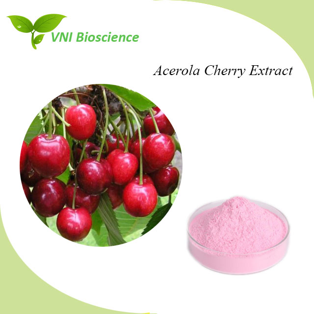 Certificado Kosher 100% Pó Natural Vc 17% 25% Extrato de Cereja Acerola