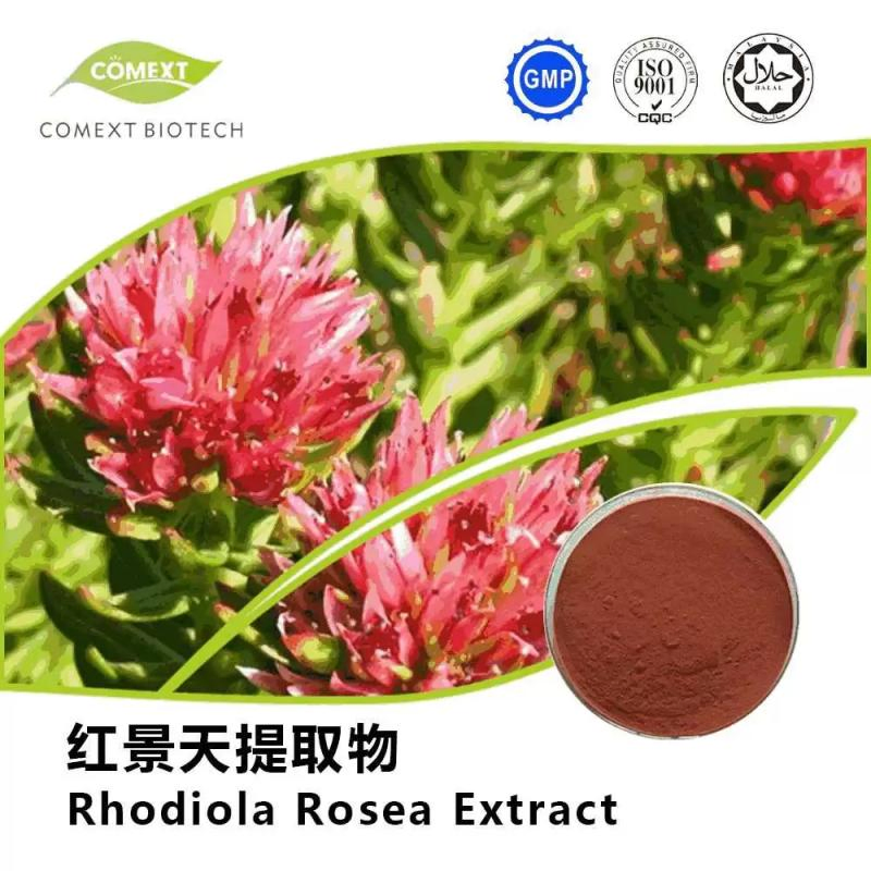 Amostra Grátis Comext 5% Rosavinas &amp; 2% Salidrosídeos HPLC Extrato de Rhodiola Rosea