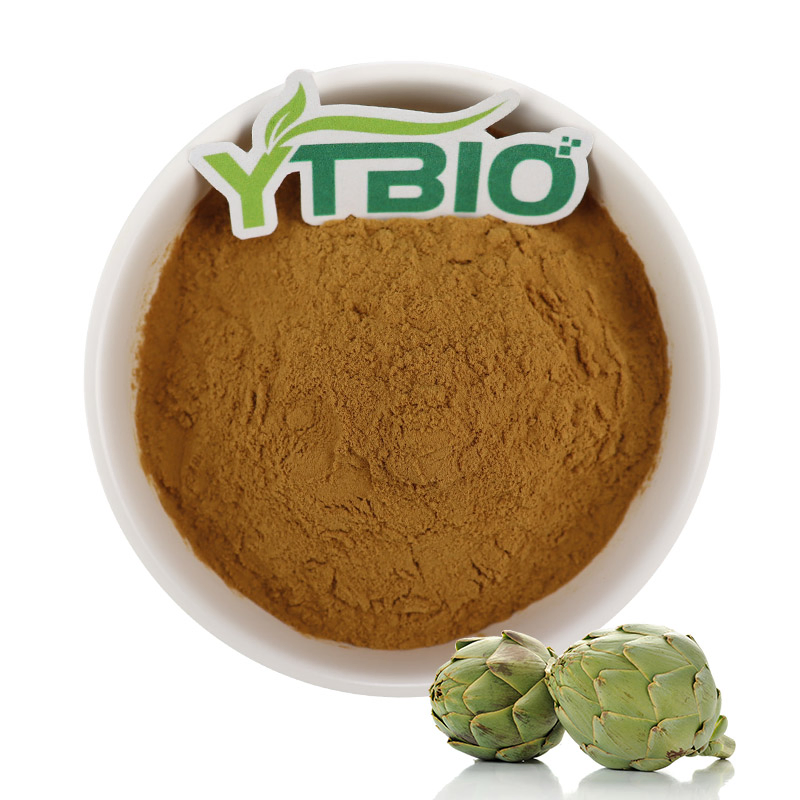 Extrato de Folha de Alcachofra Pura Pó de Extrato de Alcachofra Extrato de Cynara Scolymus L