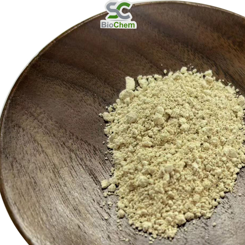 Pó de Extrato de Ginseng Panax Extrato de Folha e Raiz de Ginseng 4%~80% Ginsenosídeo