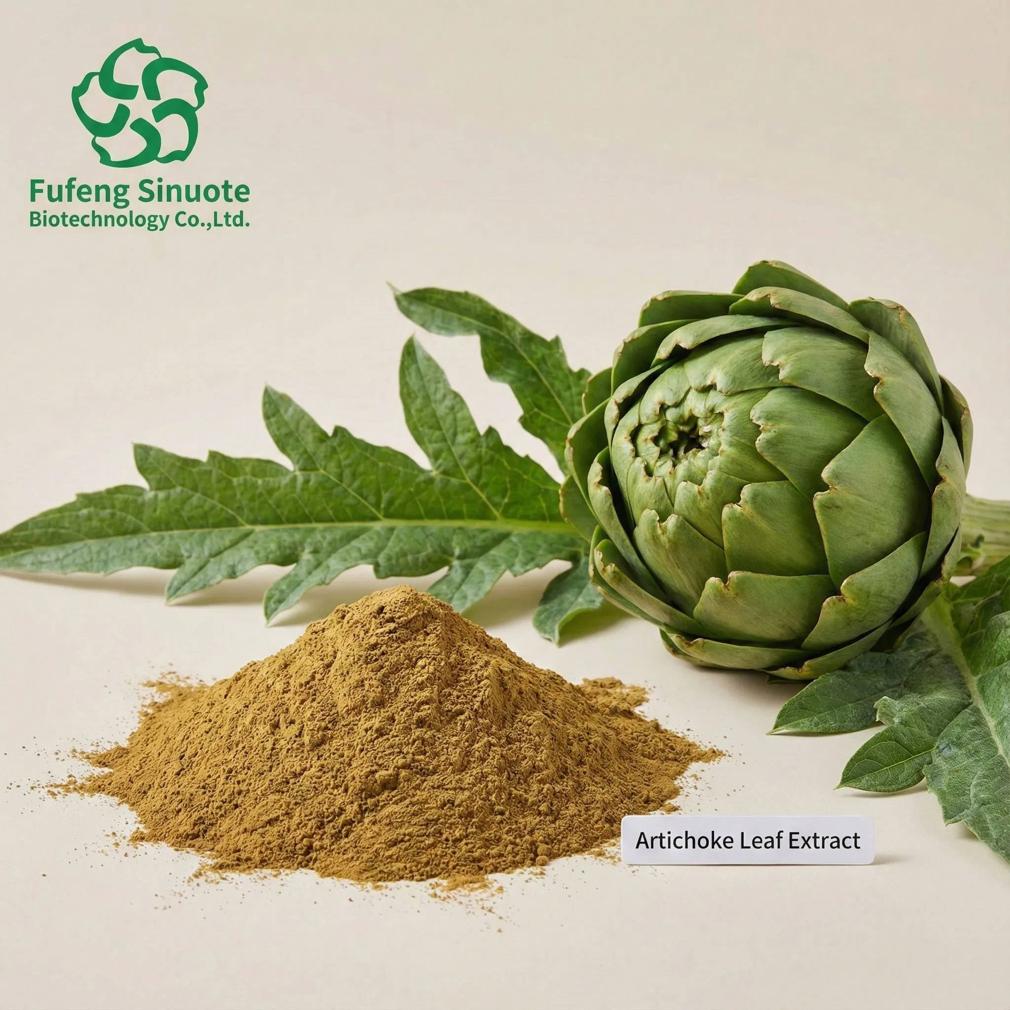 Extrato em Pó de Folha de Alcachofra Natural 2.5% 5% Extrato de Cinarina de Alcachofra para Saúde do Fígado