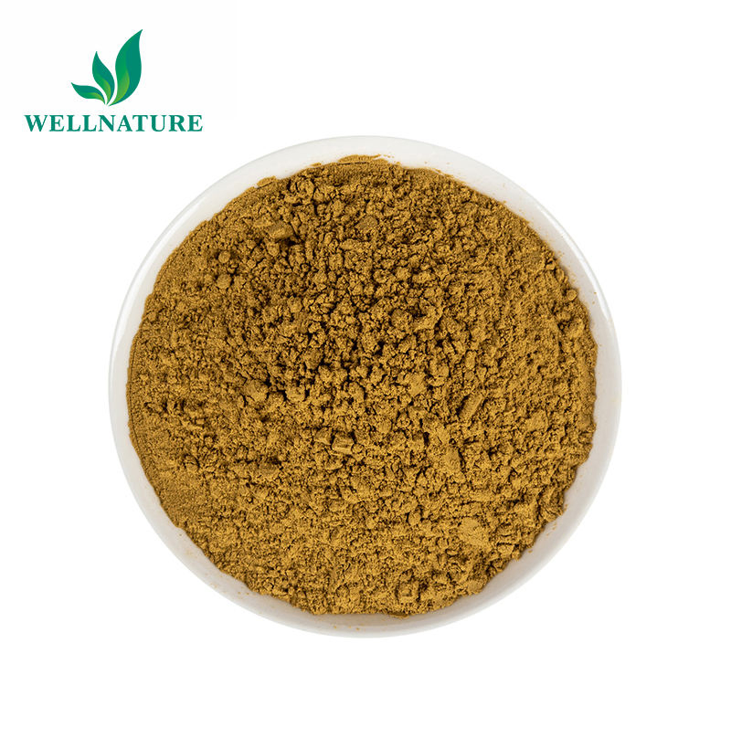 Pó de Echinacea Purpurea Padronizado Natural para Suporte Imunológico Extrato de Echinacea