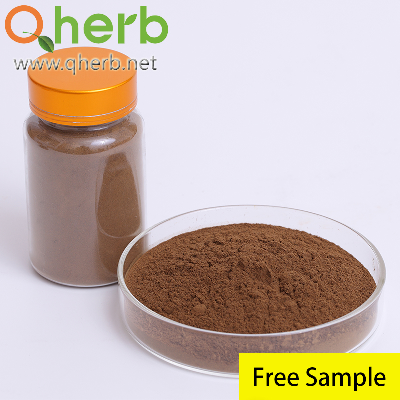 8% Saponina triterpenoide de Cimicifuga Foetida Extrato de Cohosh Negro