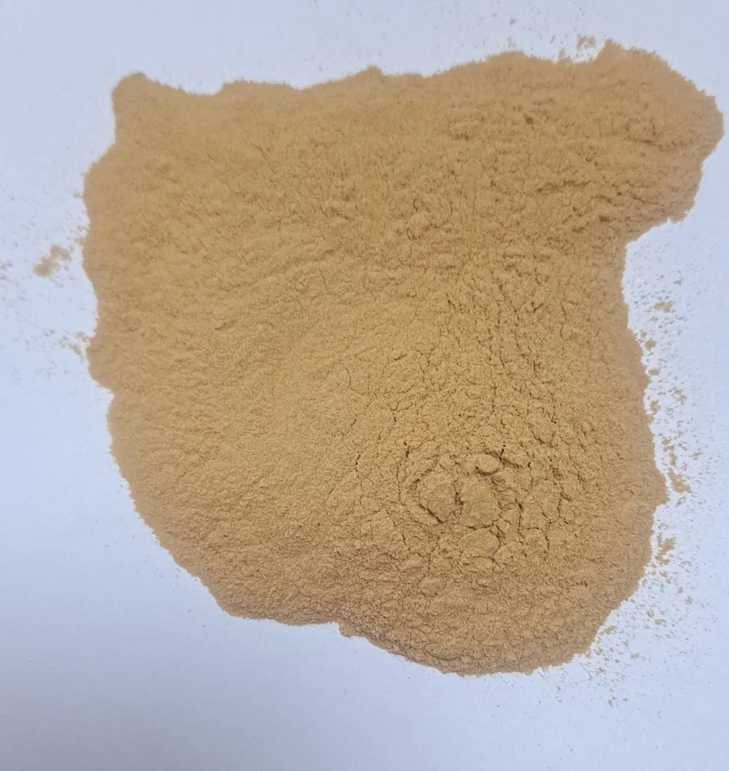 Detalhe do extrato de ginseng