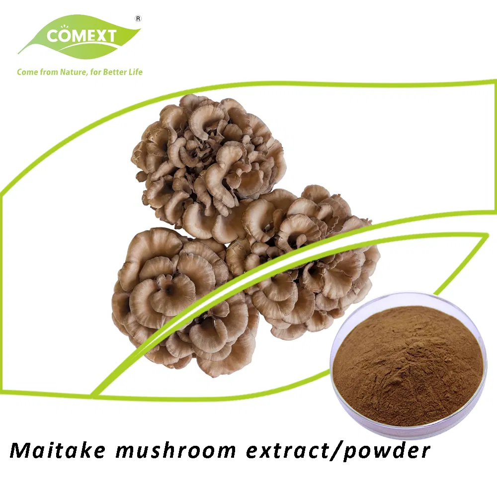 Pó de Extrato de Cogumelo Maitake