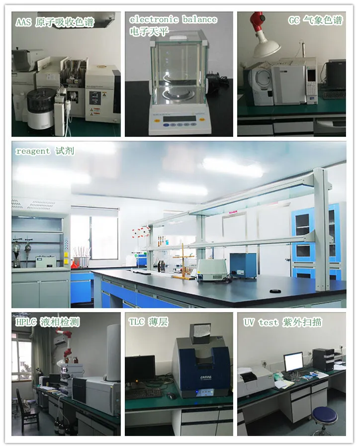 Labs mostrar