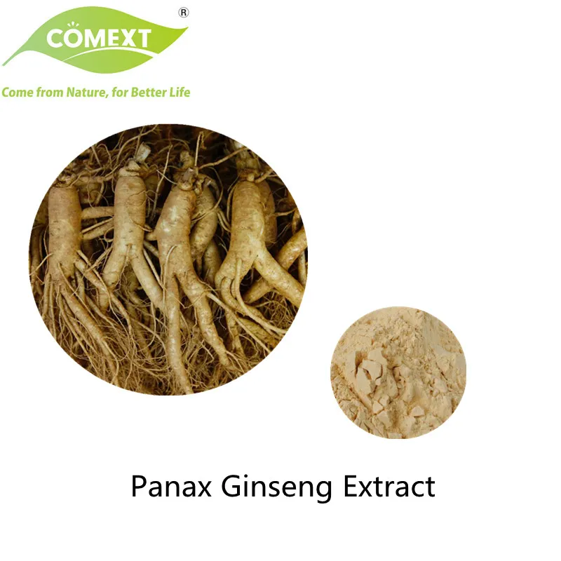 Extrato de Panax Ginseng 4%~80% Ginsenosídeo (baixas residuais de pesticidas) Saudável Extrato Vegetal de Alta Qualidade Extrato Herbal Aditivos Alimentares Naturais