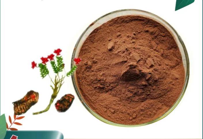 Boa Qualidade Compacta Natural 1%~5% Rosavina 1%~3% Salidrosídeo Extrato de Rhodiola Rosea