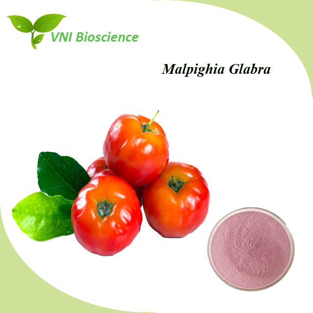 Certificado Kosher 100% Pó Natural Vc 17% 25% Extrato de Cereja Acerola