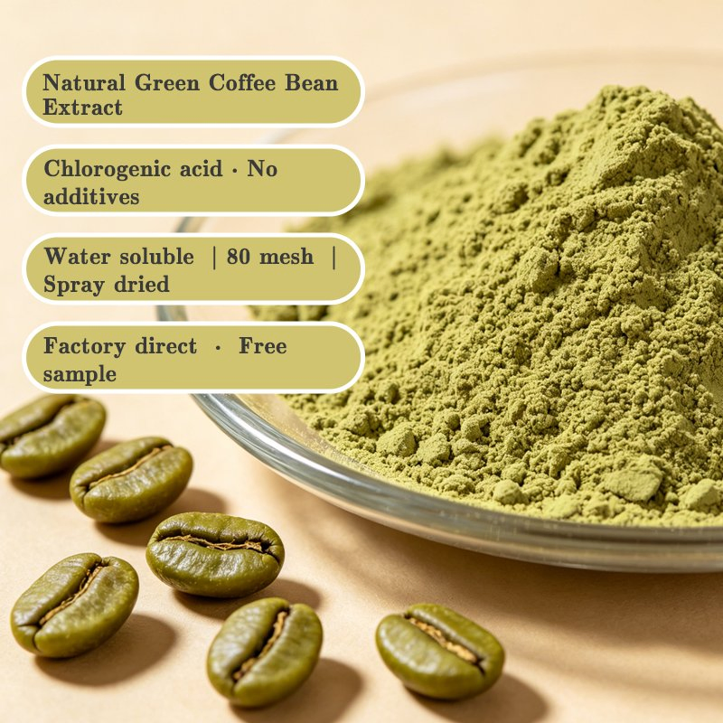 Fornecimento de Fábrica Ácido Clorogênico Natural de Grau Alimentício 28% Extrato de Grão de Café Verde