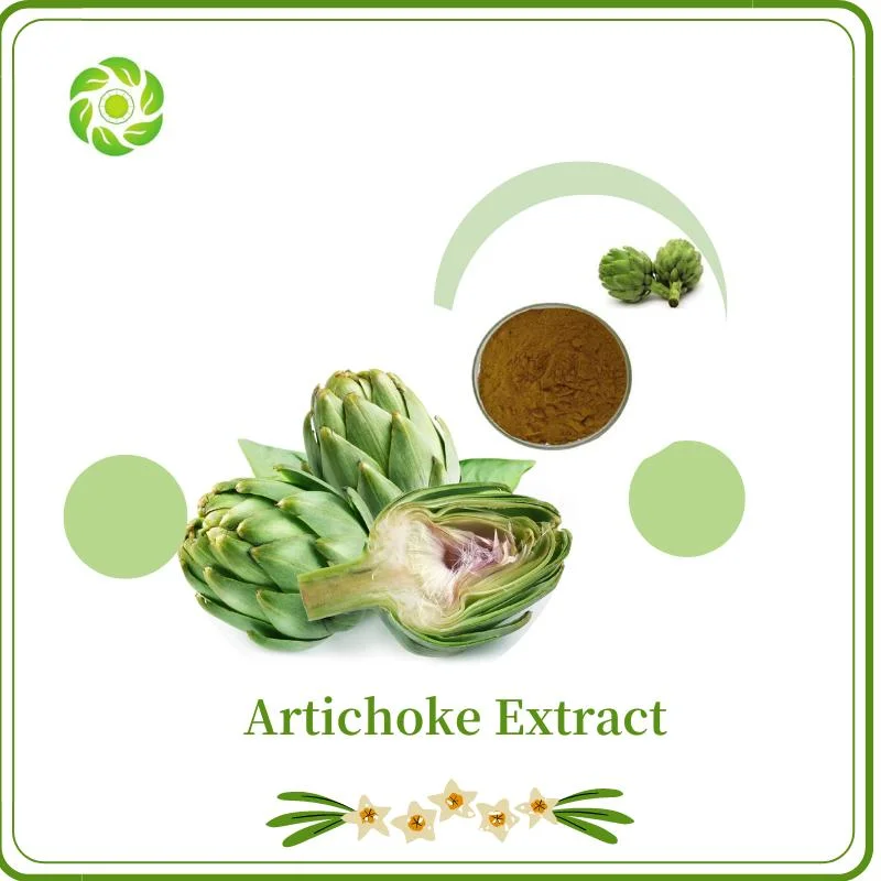 Cosméticos de Bem-Estar Mundial, Químico, Perda de Peso, Vitamina, Alimento Saudável, Aditivo Alimentar, Cinarina 2% 2.5%/Chlorogenic Acid2.5%/Cynarine 4: 1/Artichoke Extrato
