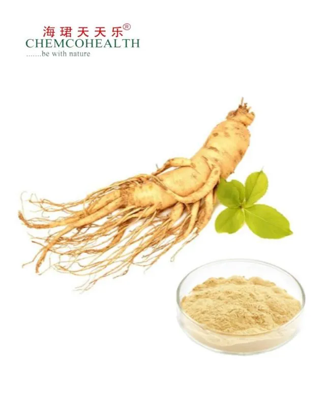 Ginsenosídeos 1%-60%HPLC 1%-80%UV Extrato de Panax Ginseng
