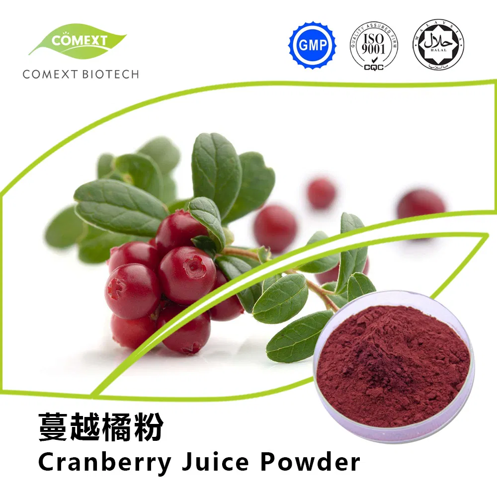 Extrato de Cranberry em Pó