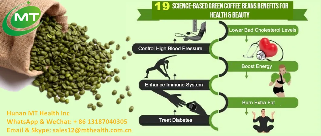 Amostra Grátis Extrato de Coffea Arabica de Alta Qualidade Grau Alimentar 10: 1 Pó de Extrato de Grão de Café Verde Orgânico