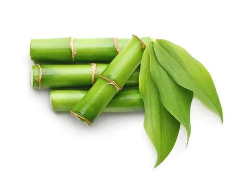 Flavonoides de Folha de Bambu Pó de Extrato de Folha de Bambu