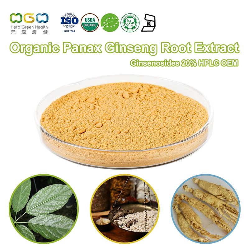 Extrato de Raiz de Panax Ginseng Ginsenosídeos de Marca Própria 20% HPLC Fabricação sob Contrato OEM ODM