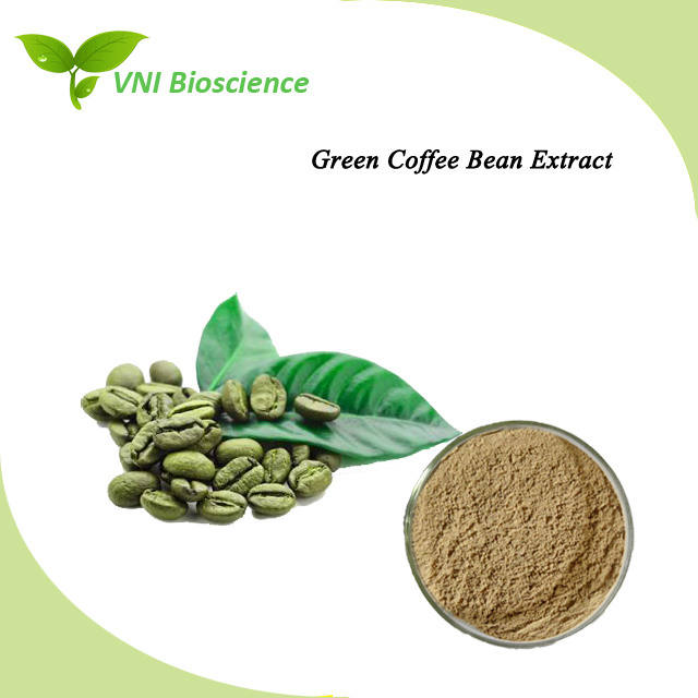 Extrato de Grão de Café Verde Natural com Ácido Clorogênico Certificado Kosher