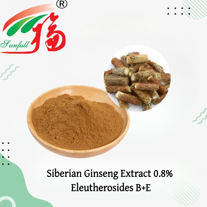 Extrato de Ginseng Siberiano 0.8% Eleuterósidos B+E Pó de Extrato de Raiz de Eleuthero Premium