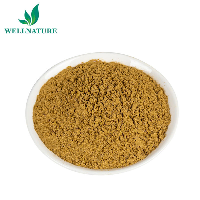 Pó de Echinacea Purpurea Padronizado Natural para Suporte Imunológico Extrato de Echinacea