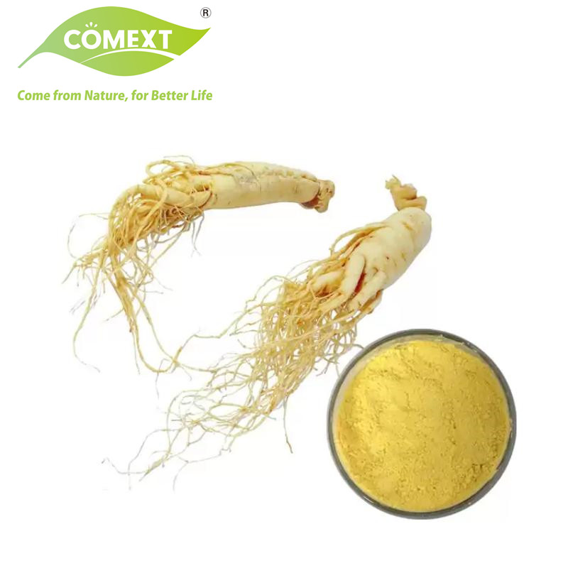 Fornecimento de Fábrica Comext Extrato de Ginseng Panax 80% Ginsenosídeos com Alta Qualidade