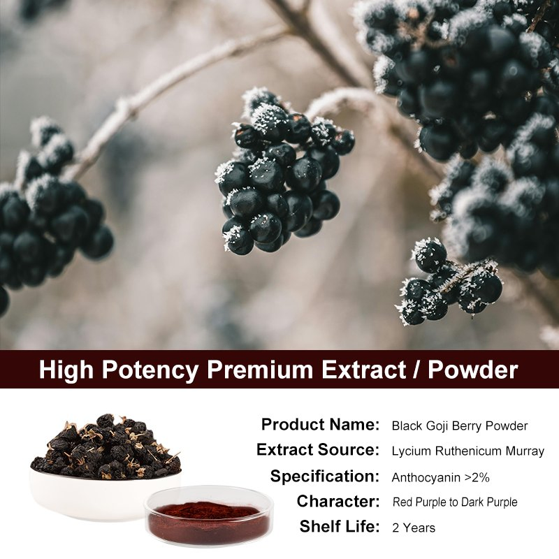 Pó de Goji Berry Preto de Marca Privada Proantocianidina OPC 2% Antioxidante Natural Aditivo Alimentar de Wolfberry Extrato de Planta