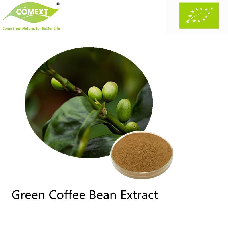 Extrato de Grão de Café Verde Natural Puro Comext 45% 50% Pó Total de Ácidos Clorogênicos Extrato de Planta de Alta Qualidade Extrato Herbal