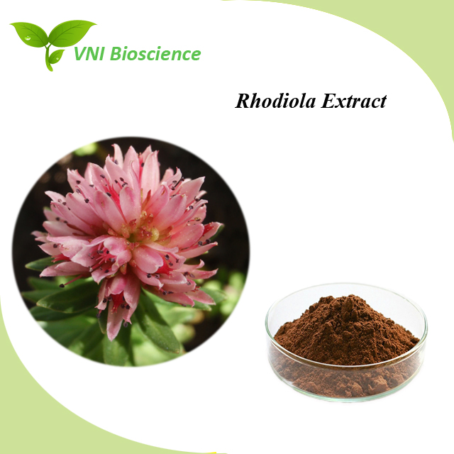 Certificado Kosher Halal 100% Extrato Natural de Rhodiola Rosea