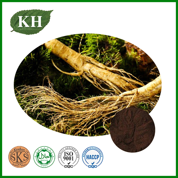 Extrato de Panax Ginseng Livre de Pesticidas Ginsenosídeos