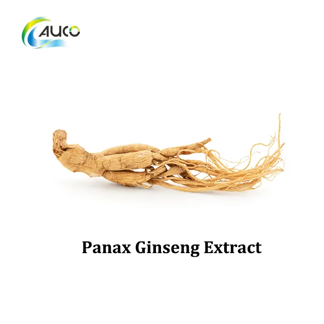 Extrato de Ginseng Panax de Alta Qualidade para Melhoria da Saúde e Bem-Estar