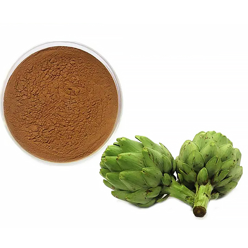 Pó de Extrato de Alcachofra com 4: 1 10: 1 Extrato de Folha de Alcachofra Seco por Atacado 4: 1 10: 1 Pó Herbal