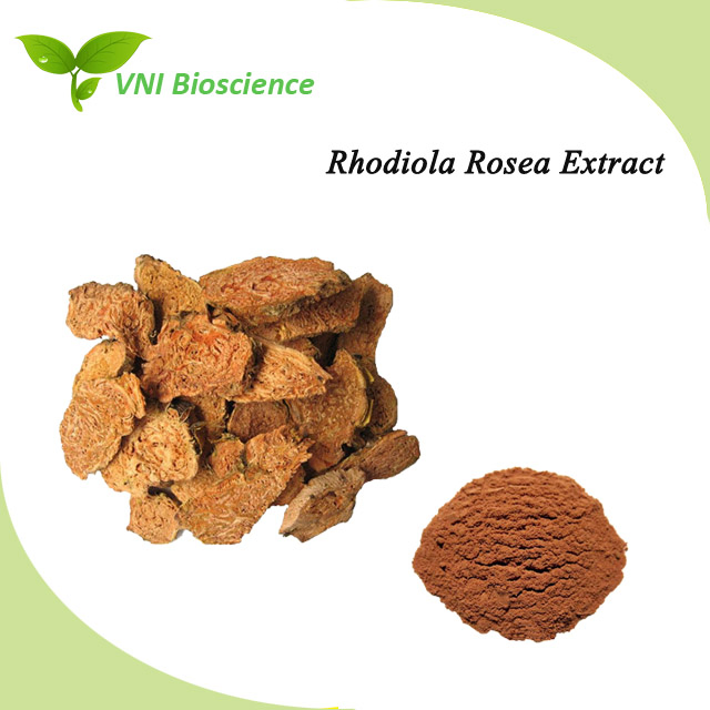 Certificado Kosher Halal 100% Extrato Natural de Rhodiola Rosea