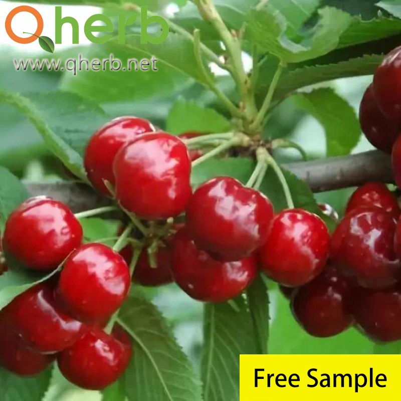 20% Extrato Orgânico de Cereja Acerola com Vitamina C