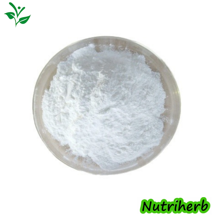 Extrato Natural de Polygonum Cuspidatum Antioxidante Material Cosmético Suplemento de Saúde Resveratrol 501-36-0 Extrato em Pó de Planta Herbal 98%