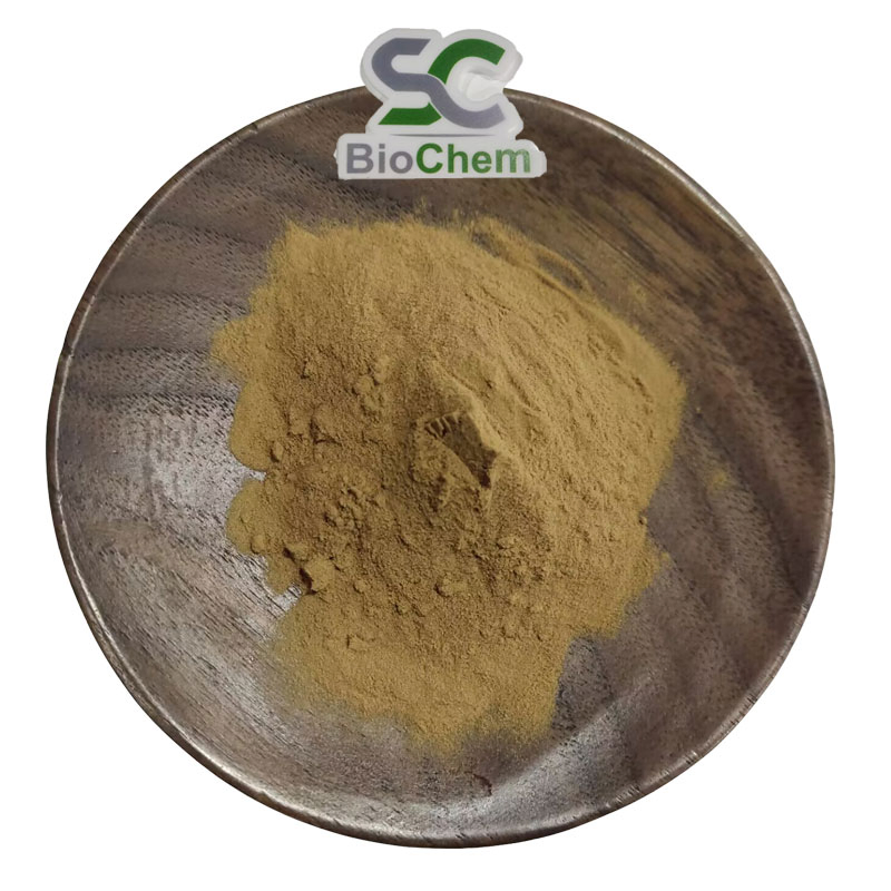 Suplementos Nutricionais Pó de Extrato de Grão de Café Verde
